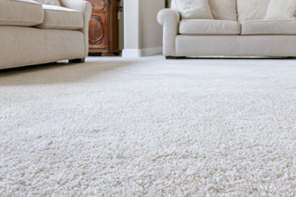 Carpet Care For Busy Families A Practical Maintenance Guide