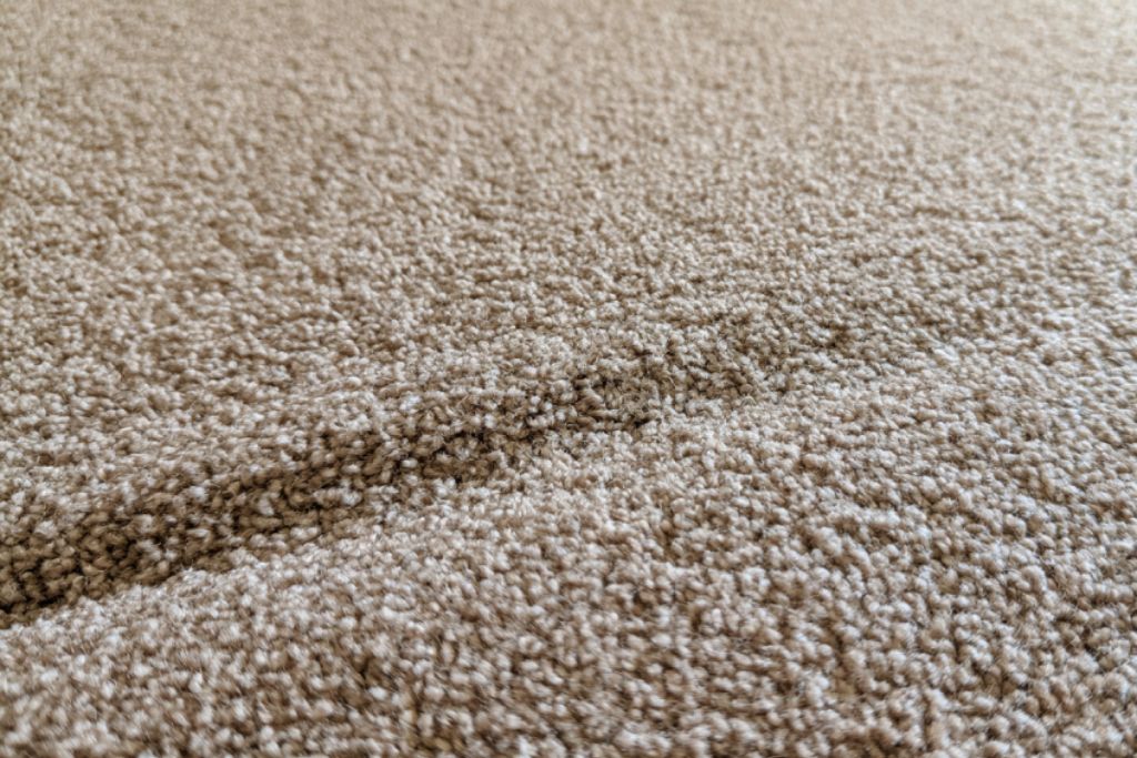 Carpet Ripples And Wrinkles What Causes Them