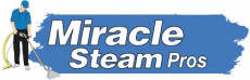 Miracle Steam Pros
